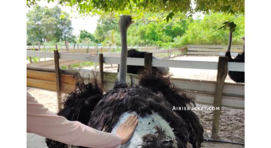 tempat menarik di pengerang, desaru bandar penawar kota tinggi